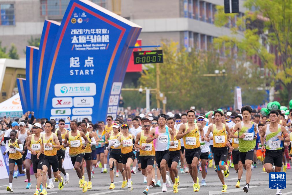 拥有相当不错的游戏实力。案例展示
