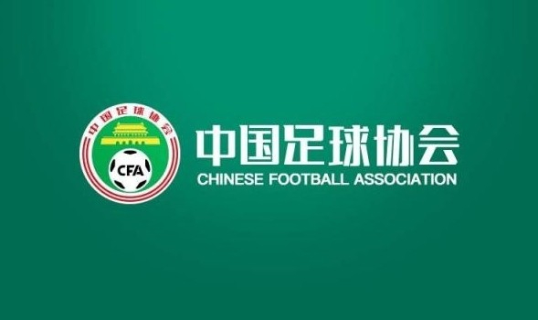 拥有相当不错的游戏实力。详情图