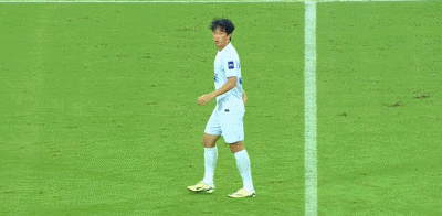 专业bg真人官网服务
