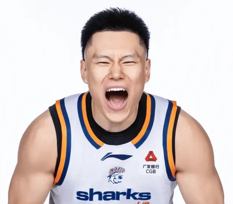 BG真人详情图