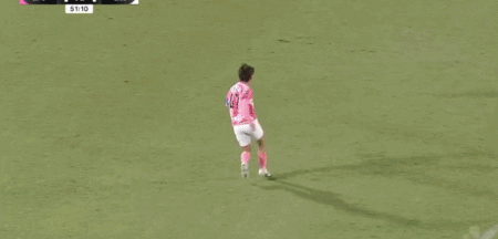专业bg真人视讯服务